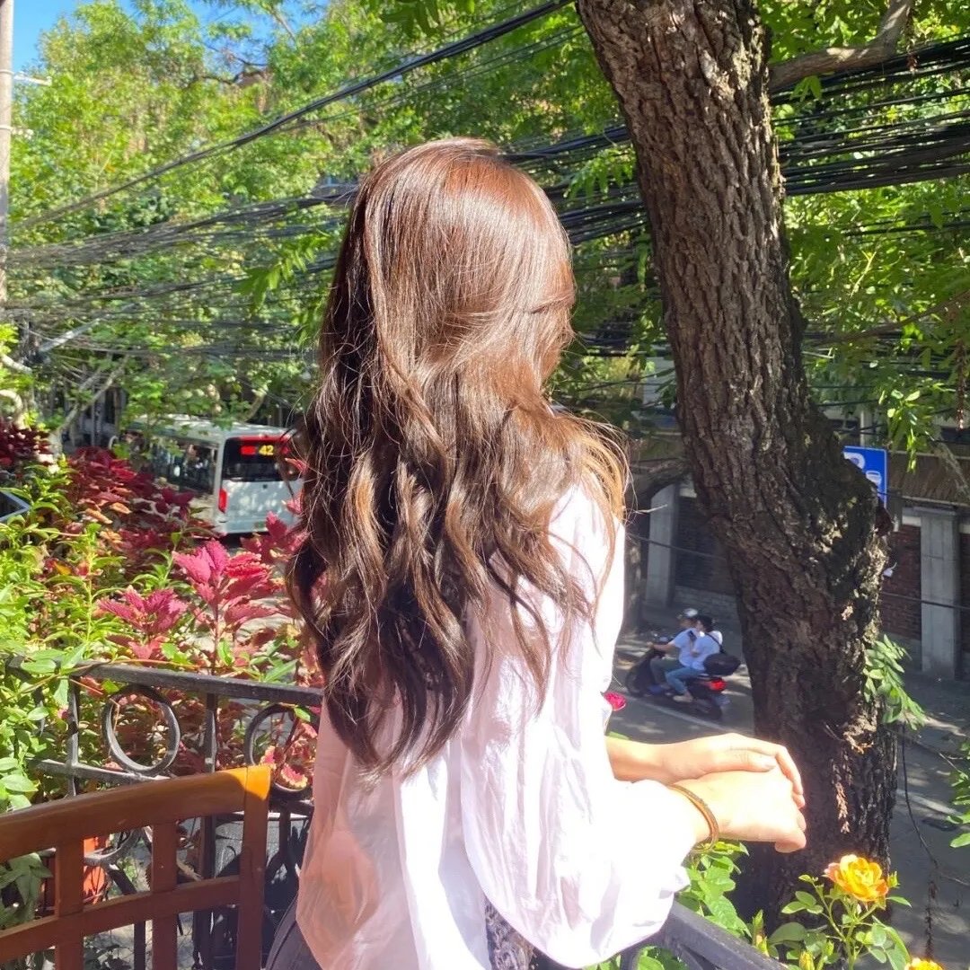 幸运狗狗来造访